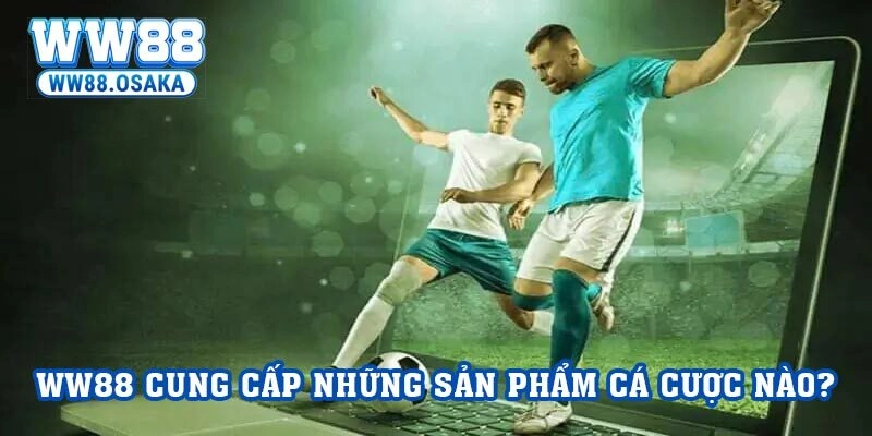 Biết cách tận dụng ưu đãi từ sân chơi