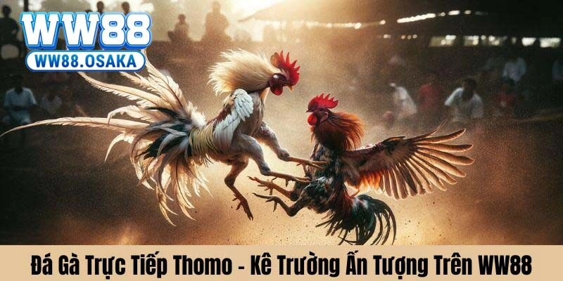 Các hình thức cá cược trên sàn đấu đá gà thomo tại WW88