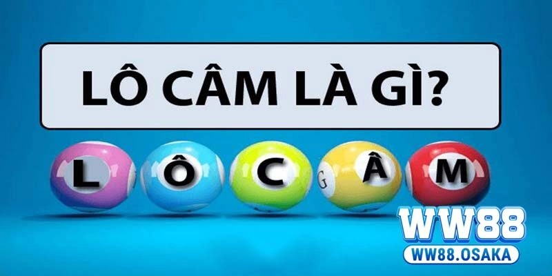 Lô Câm WW88 – Khám Phá Cách Xác Định Hiệu Quả, Nhanh Chóng  