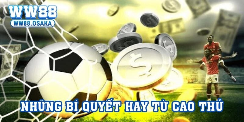 Những bí quyết hay từ cao thủ giúp bạn giành chiến thắng khi tham gia cá cược thể thao tại nhà cái.