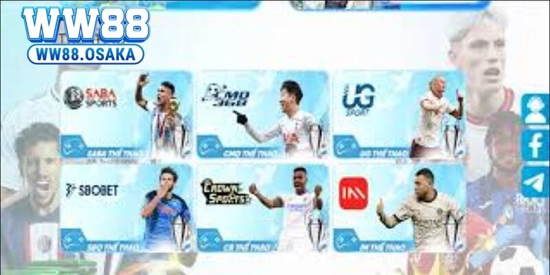 Những bộ môn cá cược tại CMD thể thao