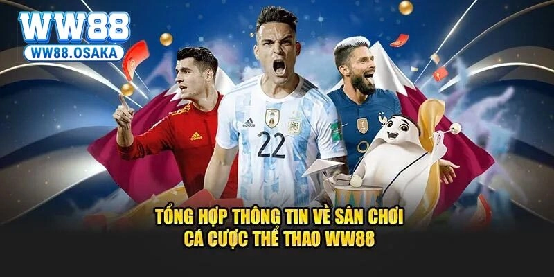Vì sao đông đảo anh em bet thủ lại lựa chọn tham gia cá cược thể thao tại nhà cái?