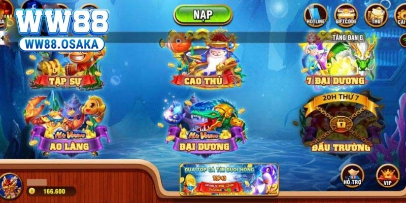 Bí kíp trở thành vua săn cá – Cách chơi hiệu quả từ cao thủ