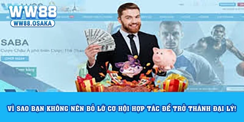 Vì sao bạn không nên bỏ lỡ cơ hội hợp tác để trở thành đại lý!