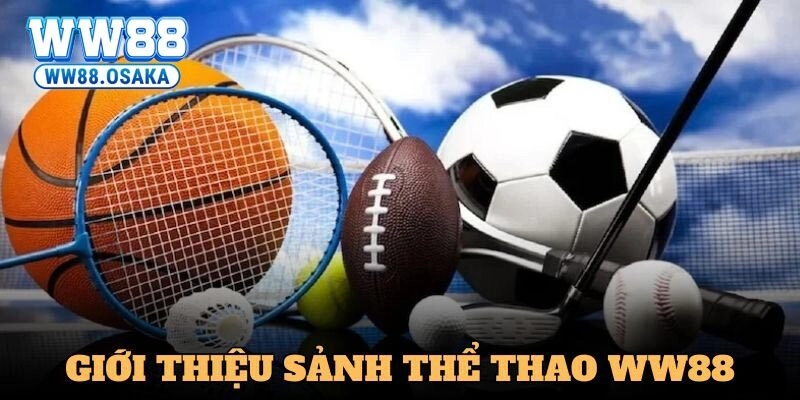 Chuyên mục thể thao tại nhà cái cung cấp những sản phẩm cá cược nào?